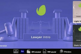 Lawyer Intro 50403939