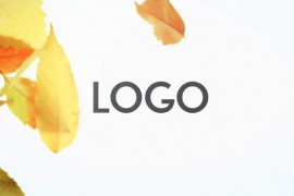 Autumn Logo DR 32993556