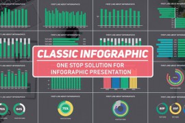 Classic Infographic MOGRT 23579494