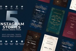Wedding Invitation Instagram Vertical Stories 49825058