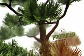 About Us Bonsai Tree 20516636
