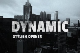 Dynamic Stylish Opener 50189142