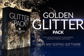 Golden Glitter Pack 35446989