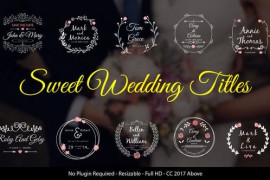 Wedding Titles 21922935