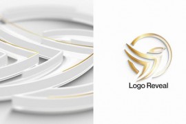 Logo Animation 50864790