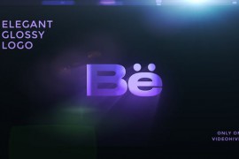 Elegant Glossy Logo 51528325