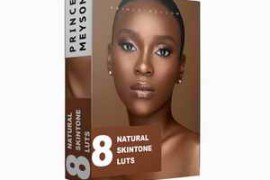 Prince Meyson Natural Skin Tone LUTs For Dark Skin