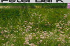 Free Download:nu.wav Peter Bark - Seraphic WAV-FANTASTiC