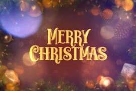 Christmas Titles I New Year Intro 42031394