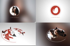 Low Poly Logo 10623124