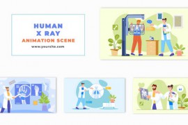 Human X Ray Educational Flat Animation Scene 47869073