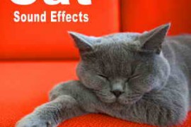 The Hollywood Edge Sound Effects Library Cat Sound Effects FLAC