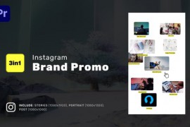 Brand Promo - Instagram Stories, Portrait, Square for Premiere Pro 48883149
