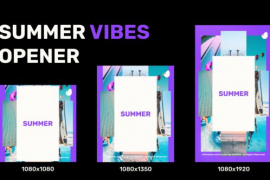 Summer Vibes Opener 51859118
