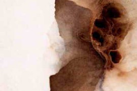 Free Download:Danacollyd Soundscapes Vol.1 WAV-FANTASTiC