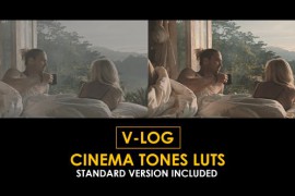 V-Log Cinema Tones and Standard LUTs 51434490