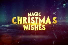 Magic Christmas Wishes 2024 48760007