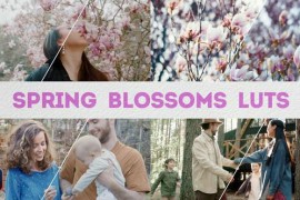 Spring Blossoms LUTs | DaVinci Resolve 49777585