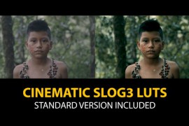 Slog3 Cinematic and Standard Color LUTs 48800886