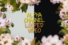 Floral Love Frame And Transitions 28168502