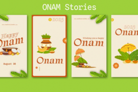 Onam Festival Celebration Instagram Stories | Reels 47421080