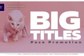 Big Titles Pace Promotion 47369055