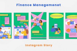 Finance Management Instagram Story 44311210