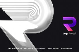 Logo Reveal 48630655