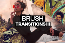 20 Brush Transitions III 47689580