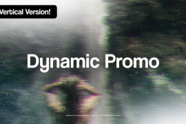 Dynamic Promo 51340416