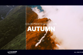 Autumn LUT Collection Vol. 01 for Final Cut Pro X 46466621