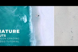 Nature LUTs 43420641