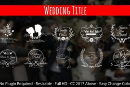 Wedding Titles 21671601