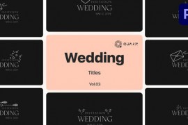 Wedding Titles for Premiere Pro Vol. 03 49000023
