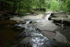 Rabbit Ears Audio Brooks Streams Waterfalls WAV