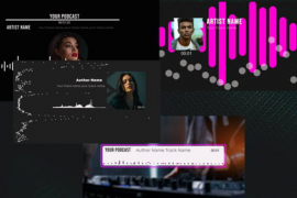 AudioVisualizationPodcast 48938243