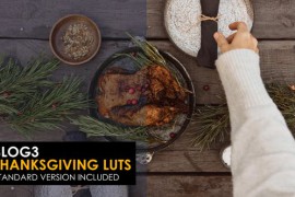 Slog3 Thanksgiving and Standard Color LUTs 48798966
