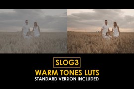 Slog3 Warm Tones and Standard Color LUTs 51105388