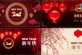 Chinese New Year Greetings Pack 50172165