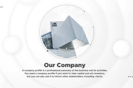 Minimal Business Presentation 24195013