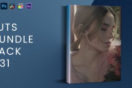 LUTs Bundle Pack V31 45394279