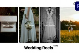 Wedding Reels for Premiere Pro Vol. 16 49377086