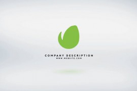 Elegant Logo Reveal 18 Premiere Pro 49170892