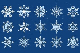 Snowflake Icon Animations 49197267