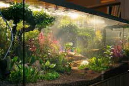 Globe Plants – Bundle 48 – Aquatic Plants