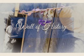 Wall of History Cinematic Opener 32491690