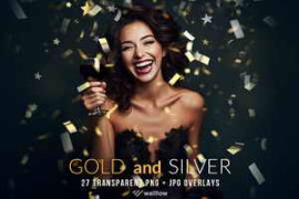 Creativemarket – Gold and Silver Confetti PNG overlay