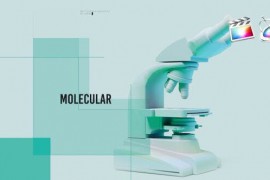 Genetic Laboratory Intro 48078258