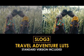 Slog3 Travel Adventure and Standard Color LUTs 50813365