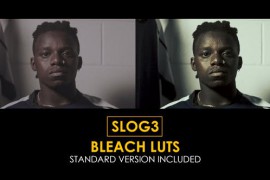 Slog3 Bleach and Standard Color LUTs 48800922